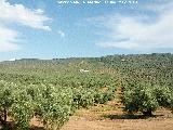 Cortijo de las Quebradas. 