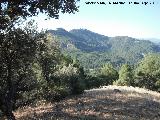 Cerro El Morretn. Cumbre y vistas