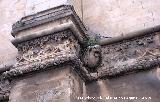 Catedral de Jan. Fachada gtica. Segunda grgola empezando por la derecha y contrafuerte