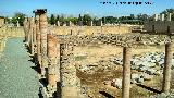 Itlica. Teatro Romano. 