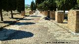 Itlica. Casa de la Exedra. Calzada que separa la Casa de Neptuno y la Casa de la Exedra