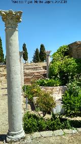 Itlica. Casa de los Pjaros. Columna