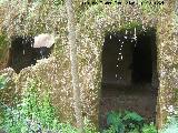 Cuevas de Lituergo. 
