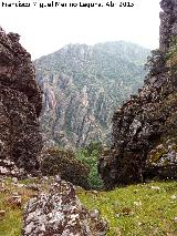 Cerro del Castillo. Desde el Paso de los rganos