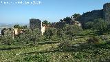 Muralla de Jan. Muralla Norte