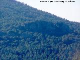 Cerro Cabeza de San Pablo. Formaciones rocosas