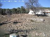 Cortijo de Torre Alver. Desde la huerta