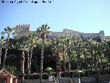 Castillo de San Miguel. 