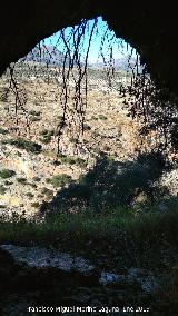 Pinturas rupestres de la Cueva de la Higuera II. 