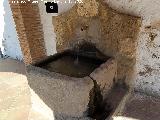 Fuente Milagrosa. 
