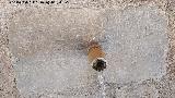 Fuente Milagrosa. Ca�o e inscripci�n