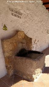 Fuente Milagrosa. 
