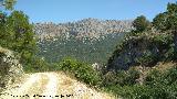 Barranco de la Manailla. 