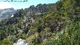 Barranco de los Corzos. 