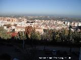 Muralla de Jan. Puerta de Martos. Vistas