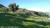 Oppidum del Cerro de Santa Catalina. Muralla