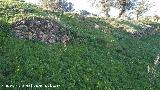 Oppidum del Cerro de Santa Catalina. Muralla