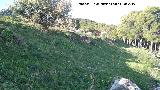 Oppidum del Cerro de Santa Catalina. Muralla