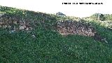 Oppidum del Cerro de Santa Catalina