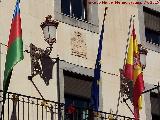 Ayuntamiento de Pozo Alcn. Escudo y bandera