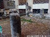 Museo Provincial. Columnas en la lonja