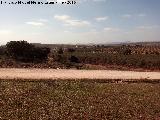 Cortijo de Don Andrs. Vistas