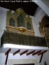 Iglesia de San Andrés. Órgano