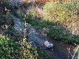 Río Frío. A la altura del Puente Romano Pequeño