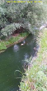 Río Frío. A su paso por el Cerro Toledo - Los Villares