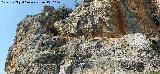 Peñas de Castro. Abrigo alto en las paredes del sureste