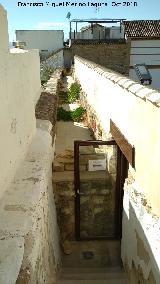 Torreón del Reloj. Adarve