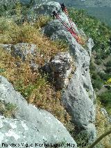 Peñas de Castro. Altura