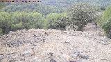 Verónica. Desde su acrópolis