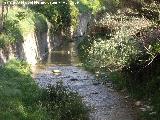 Río Frío. En las cercanías del Puente del Nogueral