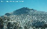 Peñas de Castro. Estribación Sur nevada