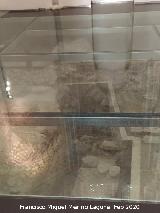 Madraza. Excavación arqueológica del Oratorio