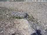Oppidum Cerro San Cristóbal. Grandes bloques de la muralla