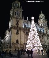 Plaza de Santa María. Iluminación navideña