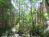 Ermita-Hospedería Madre de Dios del Campo. Interior del ala Este
