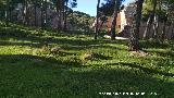 Muralla de Jaén. Lienzo Norte XIII. Intramuros