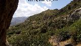 Peñas de Castro. Ladera Este