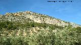 Peñas de Castro. Ladera este