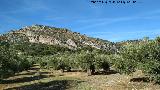 Peñas de Castro. Ladera este
