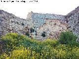 La Mota. Murallas. Lienzo entre el Torreón Oeste IV y V a extramuros