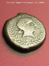 Obulco. Moneda Divisor de Obulco. Anverso Tanit. Museo Arqueológico Provincial de Jaén