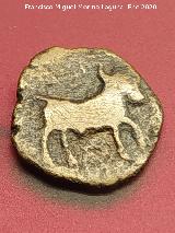 Obulco. Moneda Divisor de Obulco. Museo Arqueológico Provincial de Jaén