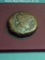 Obulco. Moneda Unidad de Obulco. Anverso de Tanit. Museo Arqueológico Provincial de Jaén