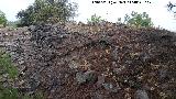 Verónica. Muralla