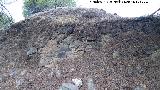 Verónica. Muro o muralla