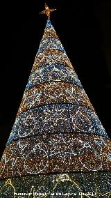 Plaza de Santa María. Navidad
